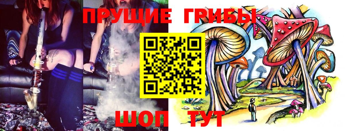 Галлюциногенные грибы GOLDEN TEACHER Кимовск