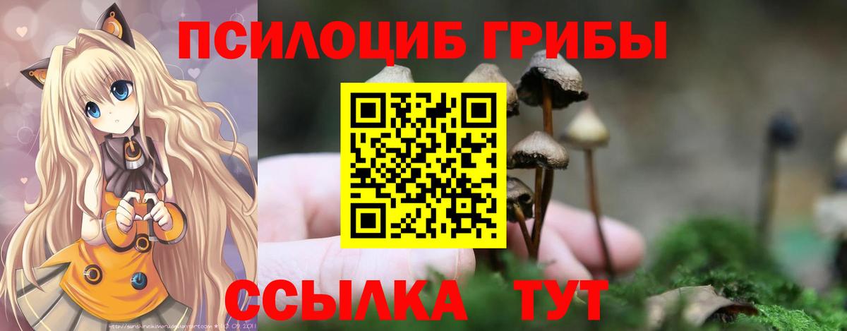 магазин продажи наркотиков  Псилоцибиновые грибы Cubensis  Вход с VPN  Кимовск 